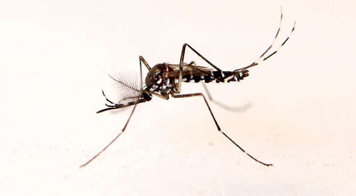 মৃত্যুর সংখ্যা বেড়ে দাঁড়িয়েছে ১০০