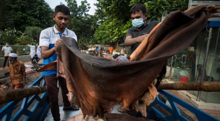 ঢাকায় প্রতি বর্গফুট গরুর চামড়া সর্বোচ্চ ৬০ ও বাইরে ৫৫ টাকা