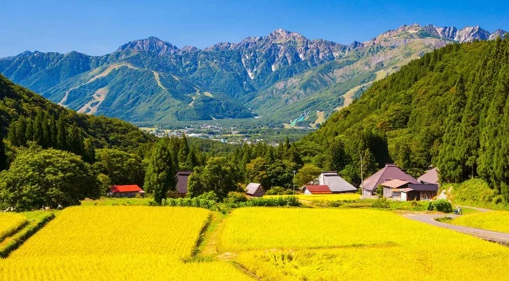 রোজায় প্রাথমিক স্কুলের নতুন